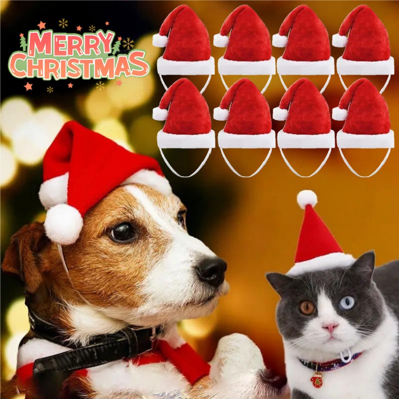 Chapeau de père noël pour anim - Santa Hat Plush avis et prix